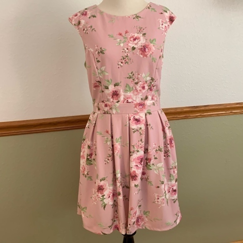 Emerald Sundae Pink Floral Print Mini Dress Large